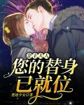 金主大人，您的替身已就位