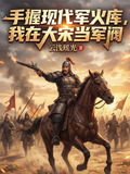手握现代军火库我在大宋当军阀